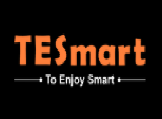 TESmart